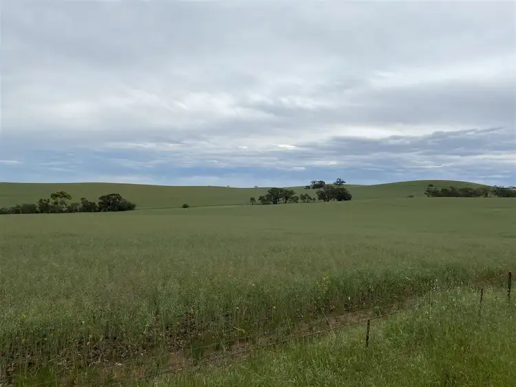 Third view of Homely rural property listing, "White's" Contact Agent, Riverton SA 5412