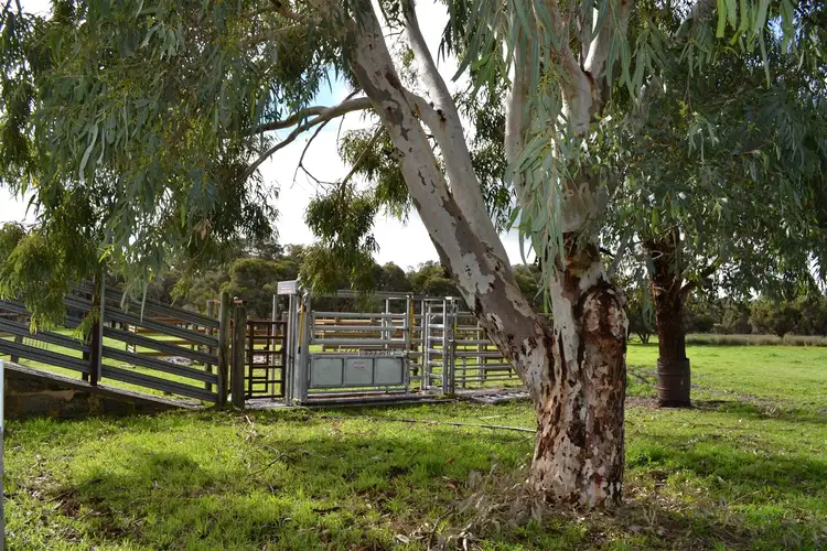 Fourth view of Homely rural property listing, 481 Gingin Brook Road, Muckenburra WA 6503