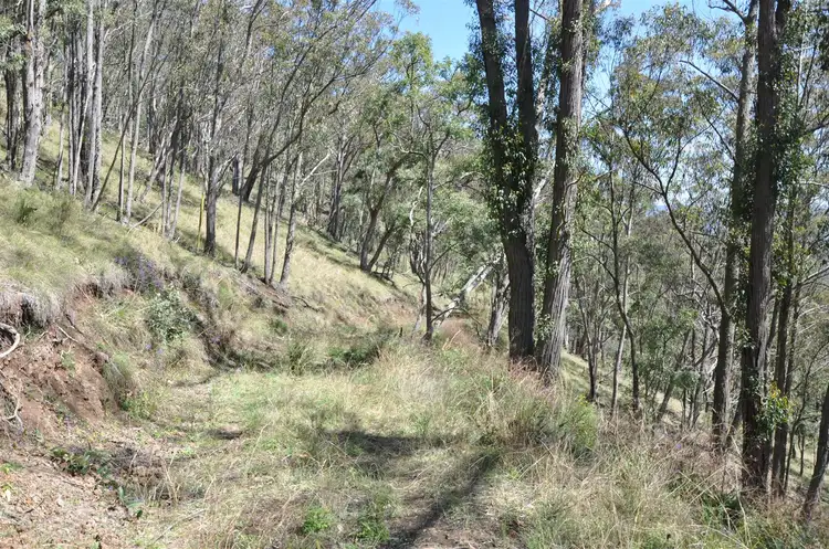 Fifth view of Homely rural property listing, Lot 9 'Sundown', off Hunter Road, Tomalla via, Moonan Flat NSW 2337