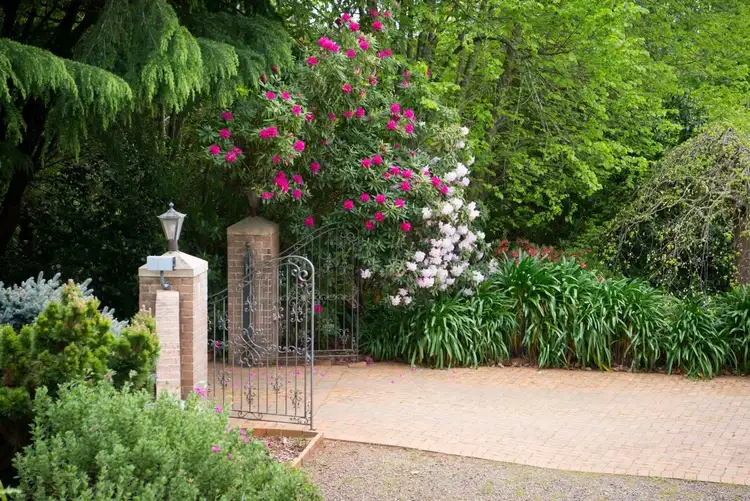 Fourth view of Homely house listing, 3 Yuille Avenue, Bundanoon NSW 2578