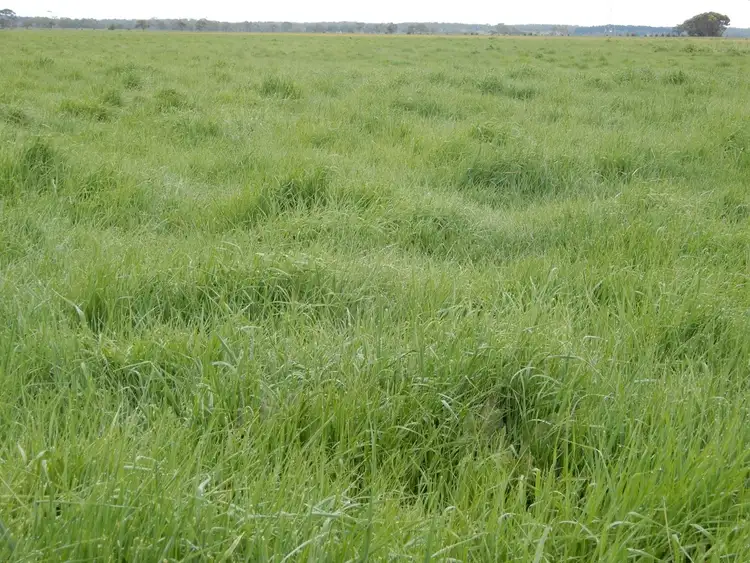 Fifth view of Homely rural property listing, s53 & s232 Conmurra Road, Lucindale SA 5272