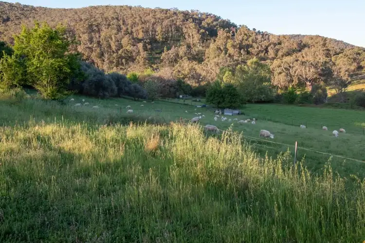 28 Lochiel Road, Holbrook NSW 2644