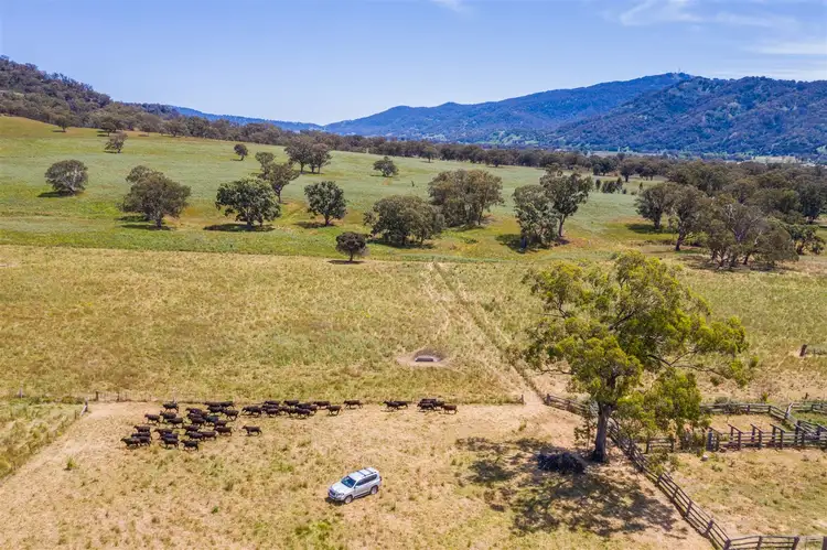 210 Stock Route Rd via Murrurundi, Blandford NSW 2338