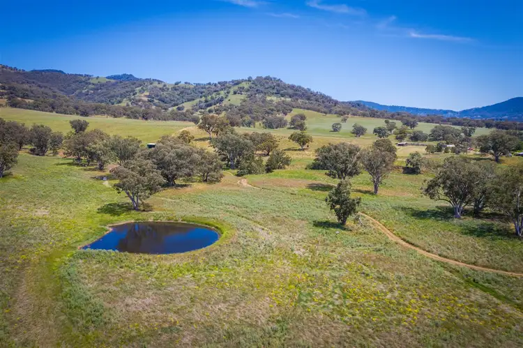 Third view of Homely rural property listing, 210 Stock Route Rd via Murrurundi, Blandford NSW 2338