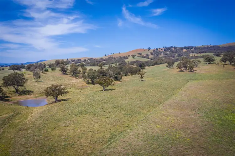 Fourth view of Homely rural property listing, 210 Stock Route Rd via Murrurundi, Blandford NSW 2338