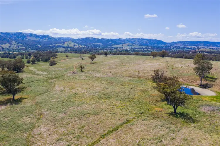 Fifth view of Homely rural property listing, 210 Stock Route Rd via Murrurundi, Blandford NSW 2338