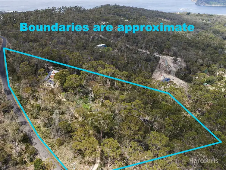 Sixth view of Homely house listing, 19 Baragoola Lane, Sandford TAS 7020