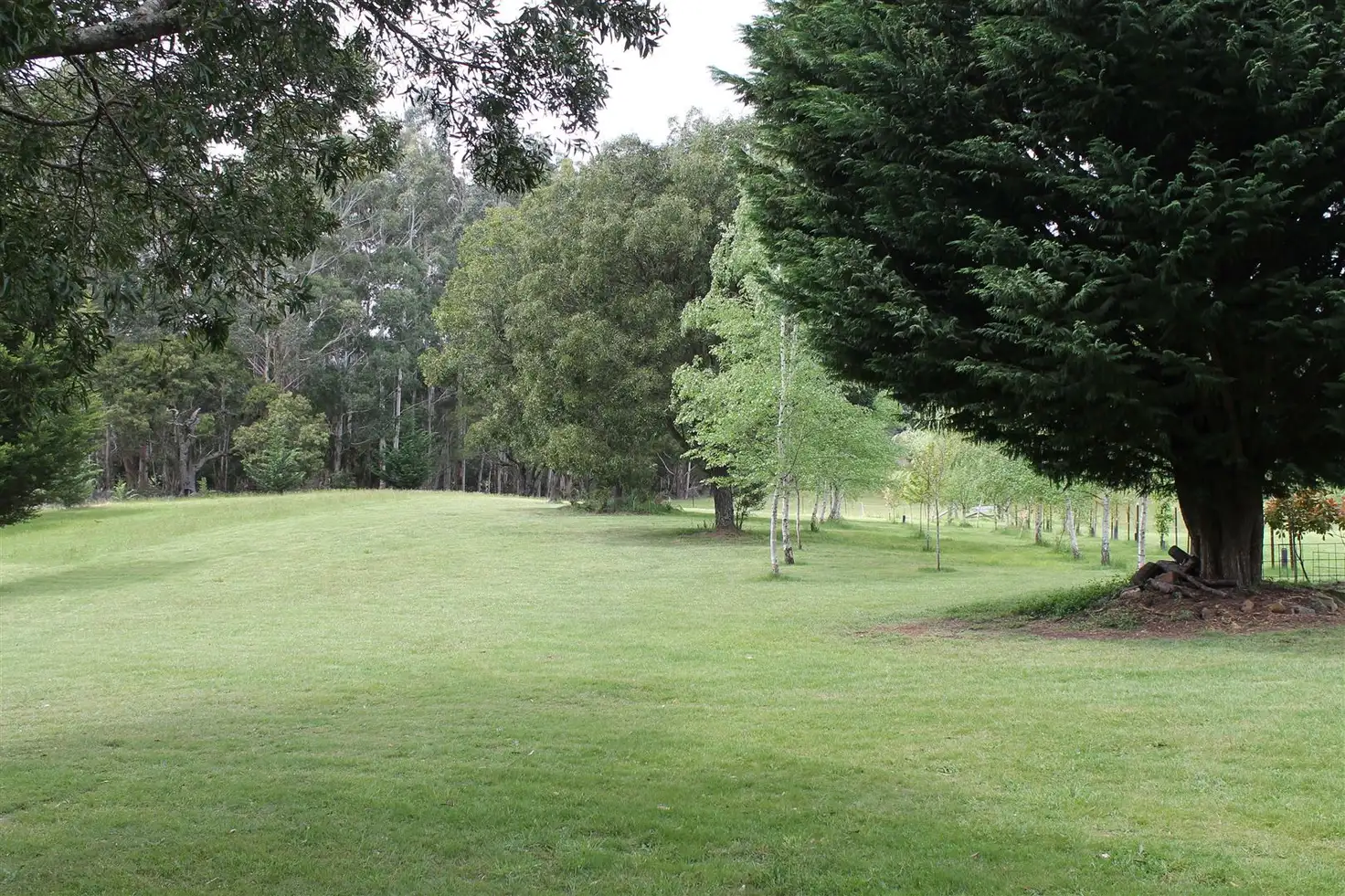 Main view of Homely rural property listing, Address available on request