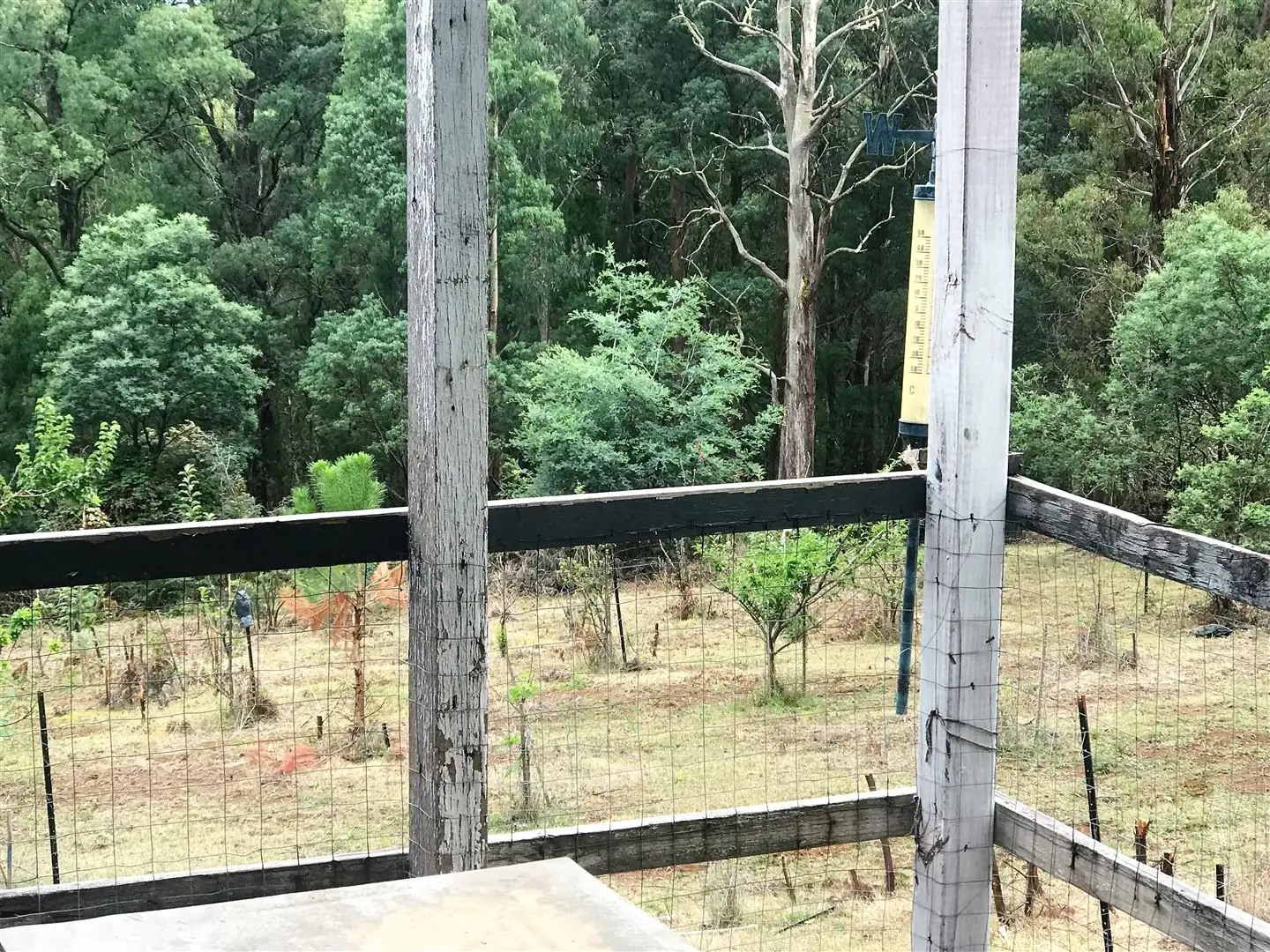 Main view of Homely rural property listing, 523 Bunstons Road, Tolmie VIC 3723