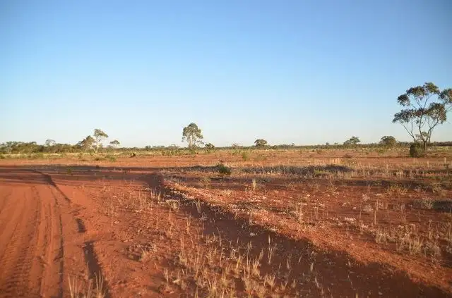 Fourth view of Homely rural property listing, * Yanda Downs, Cobar NSW 2835