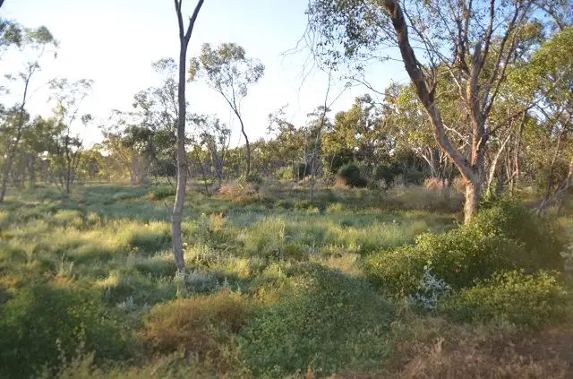 Fifth view of Homely rural property listing, * Yanda Downs, Cobar NSW 2835