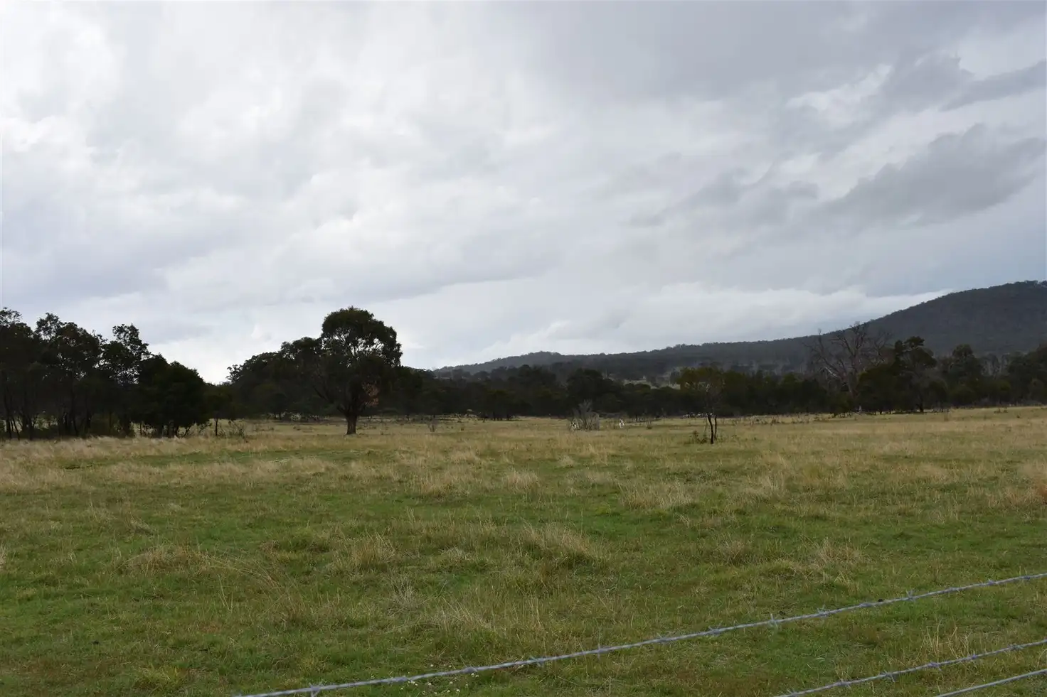 Main view of Homely rural property listing, 1013 Rockdale Road, Bolivia NSW 2372