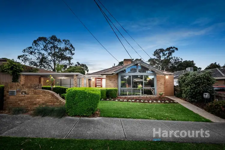 19 Walbrook Dr, Vermont South VIC 3133
