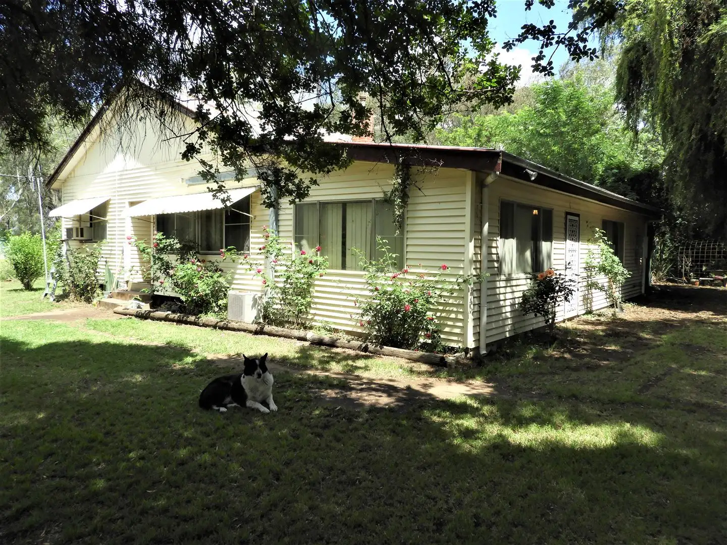 Main view of Homely rural property listing, 235 Udora Rd, Warren NSW 2824