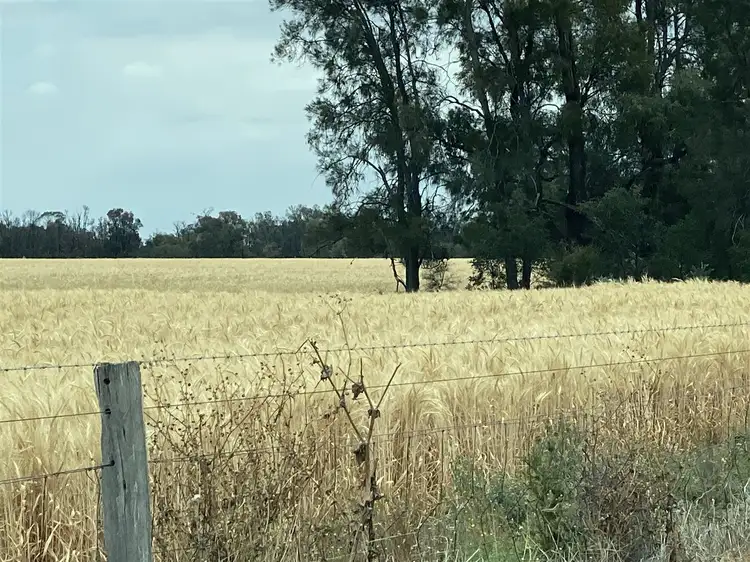 Fifth view of Homely rural property listing, 14338 Surat Development Rd, Tara QLD 4421