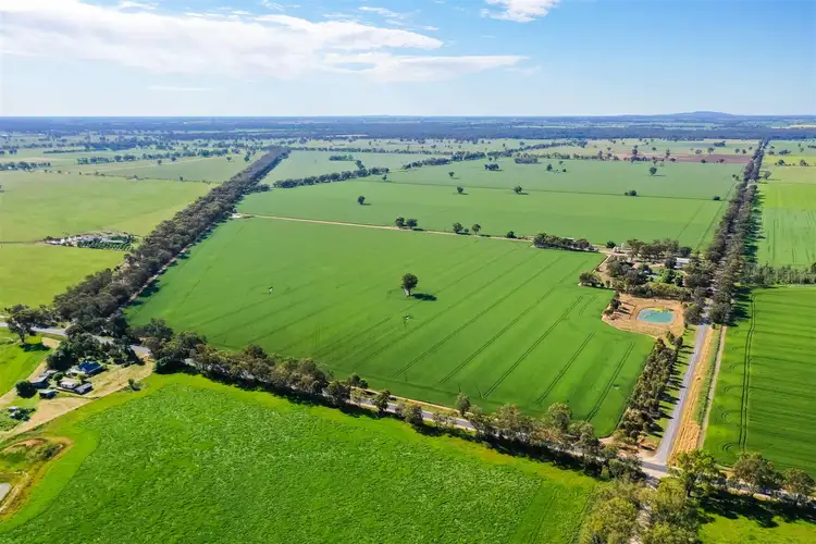 47 Webbs Road, Rutherglen VIC 3685