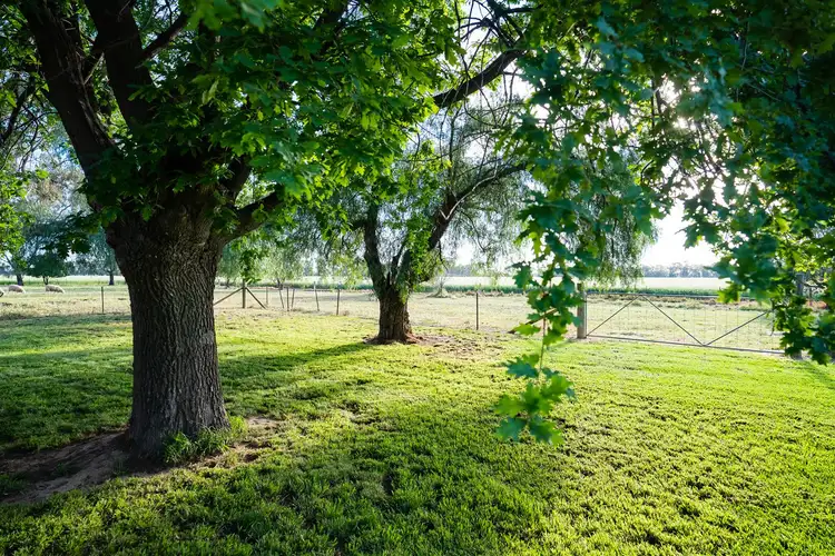 Sixth view of Homely rural property listing, 47 Webbs Road, Rutherglen VIC 3685