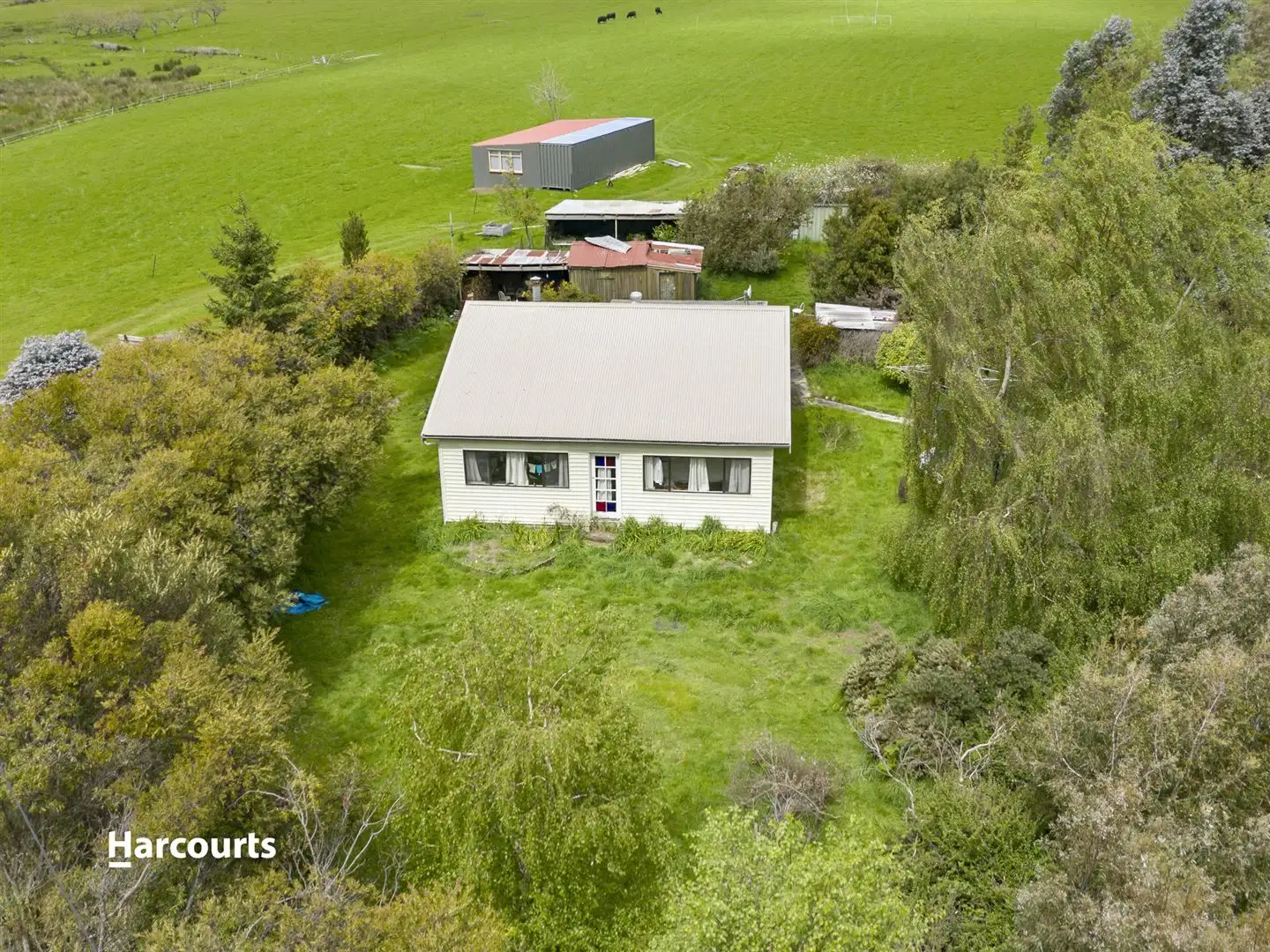 Main view of Homely house listing, 8 Cross Road, Nicholls Rivulet TAS 7112