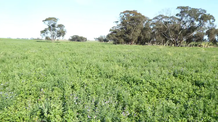 Second view of Homely rural property listing, Address available on request