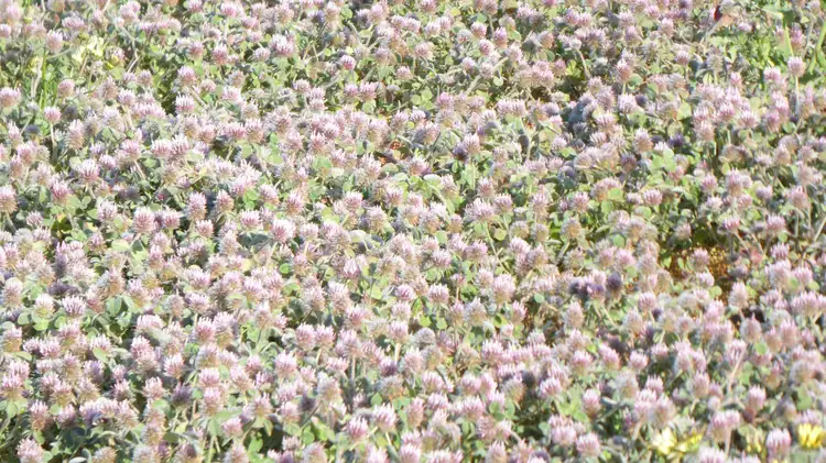 Fifth view of Homely rural property listing, Address available on request