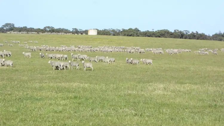 Seventh view of Homely rural property listing, Address available on request