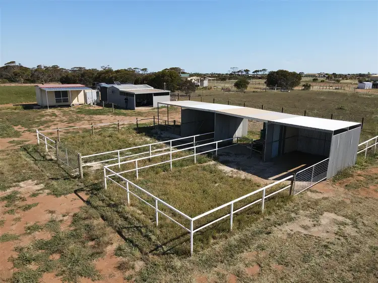 Main view of Homely rural property listing, A11 (25) Harris Road, Dublin SA 5501