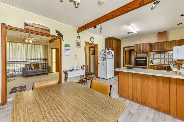 Fifth view of Homely house listing, 20 Bell Ave, Tintinara SA 5266