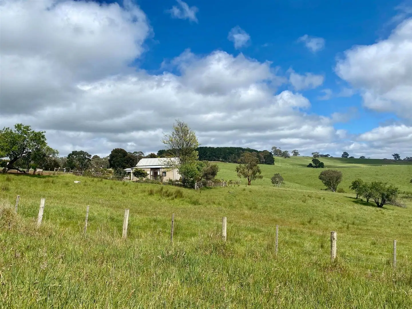 Main view of Homely rural property listing, 9 Marshalls Road, Casterton VIC 3311