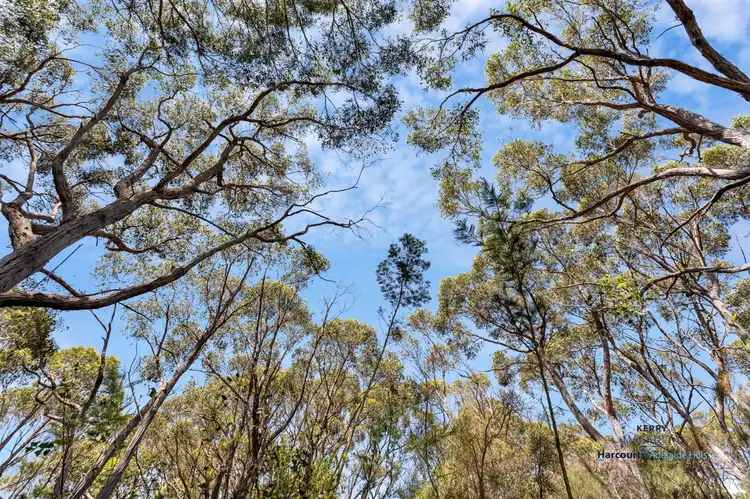 Main view of Homely land listing, 10 Kiley Road, Aldgate SA 5154