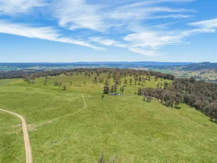 Seventh view of Homely rural property listing, "Glenridge" Porter Camp Rd, Yarrowitch, Walcha NSW 2354