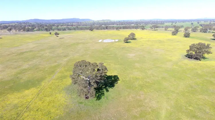 Seventh view of Homely rural property listing, . Pomonal Road,, Pomonal VIC 3381