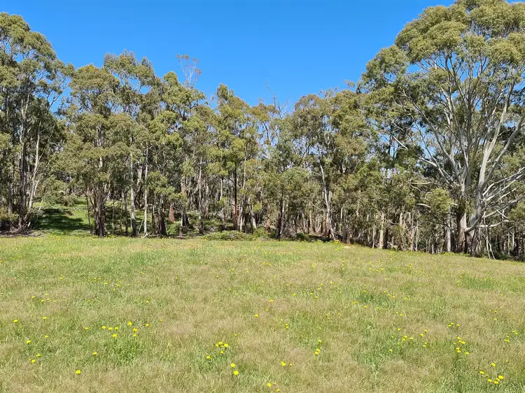 Main view of Homely rural property listing, 115 Burgess Road, Yarck VIC 3719