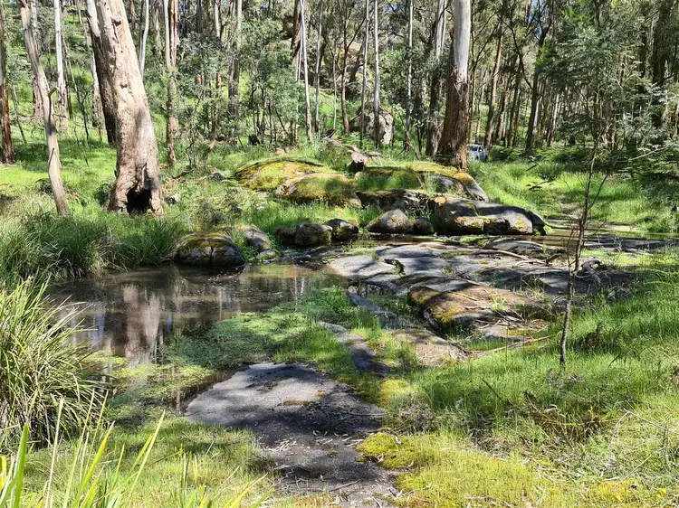 Third view of Homely rural property listing, 115 Burgess Road, Yarck VIC 3719