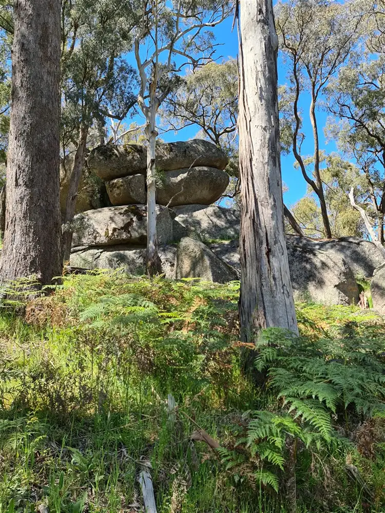 Fourth view of Homely rural property listing, 115 Burgess Road, Yarck VIC 3719
