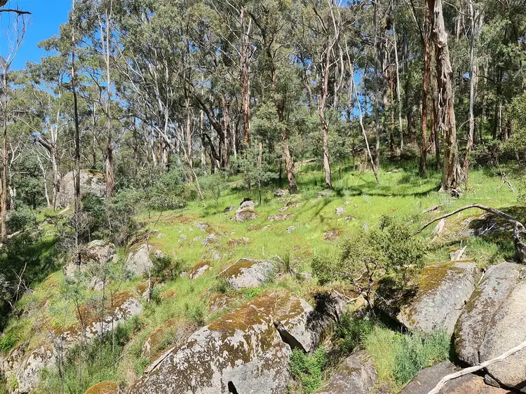 Sixth view of Homely rural property listing, 115 Burgess Road, Yarck VIC 3719