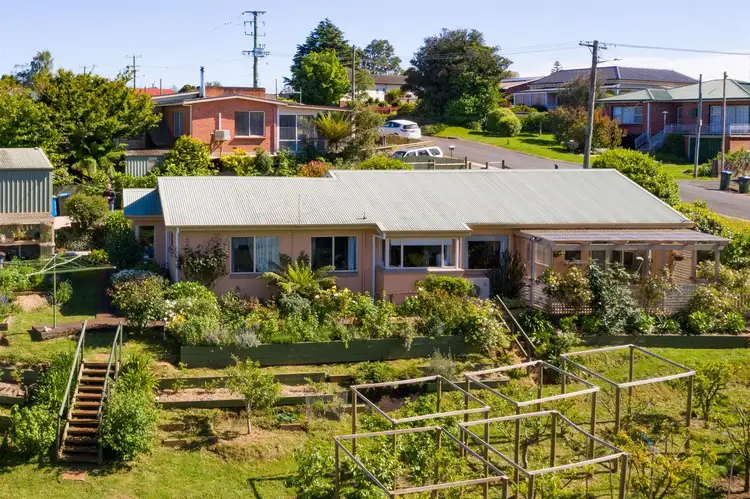 Main view of Homely house listing, 24 Ada Street, Scottsdale TAS 7260