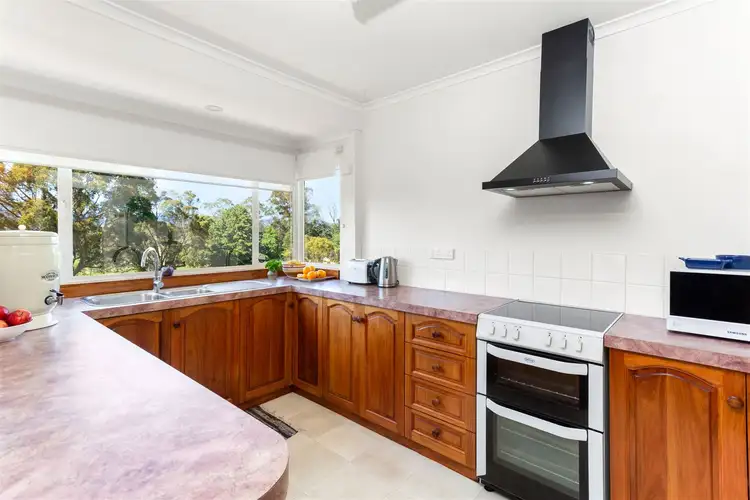 Fifth view of Homely house listing, 24 Ada Street, Scottsdale TAS 7260