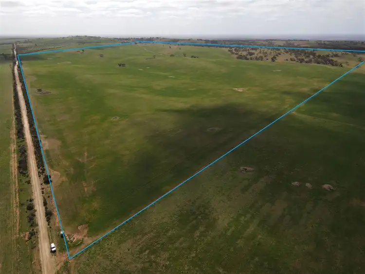 Main view of Homely rural property listing, s369 Watchbox Road - Frankton, Dutton SA 5356