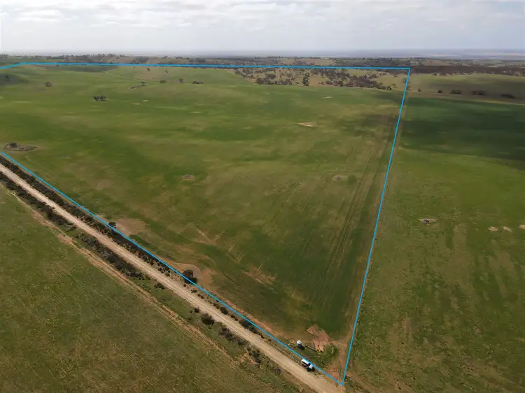 Second view of Homely rural property listing, s369 Watchbox Road - Frankton, Dutton SA 5356