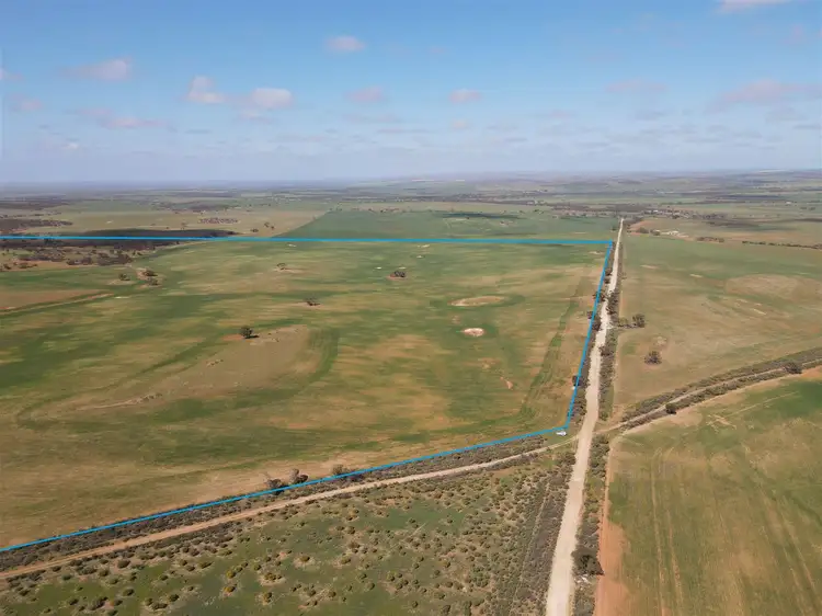 Fourth view of Homely rural property listing, s369 Watchbox Road - Frankton, Dutton SA 5356