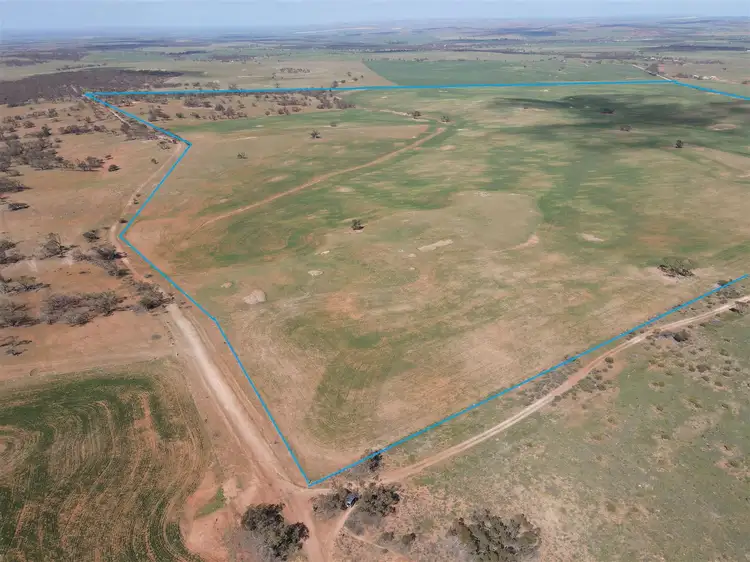Fifth view of Homely rural property listing, s369 Watchbox Road - Frankton, Dutton SA 5356