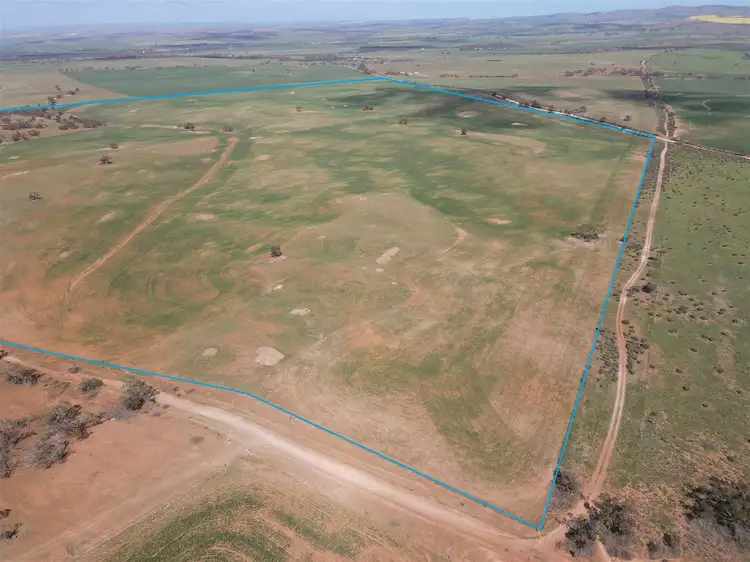 Sixth view of Homely rural property listing, s369 Watchbox Road - Frankton, Dutton SA 5356