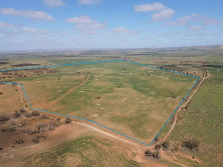 Seventh view of Homely rural property listing, s369 Watchbox Road - Frankton, Dutton SA 5356