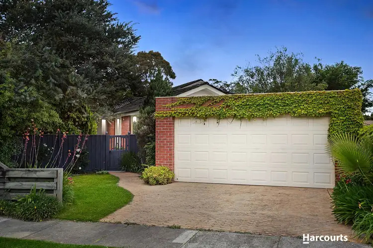 40 Pascall Street, Mount Waverley VIC 3149