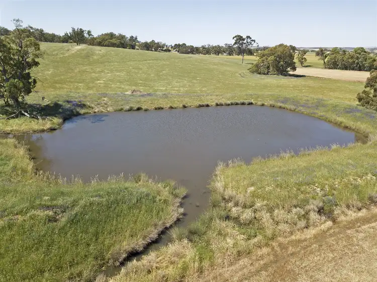 Second view of Homely rural property listing, 297 & 320 Murratana Road, Murray Town SA 5481