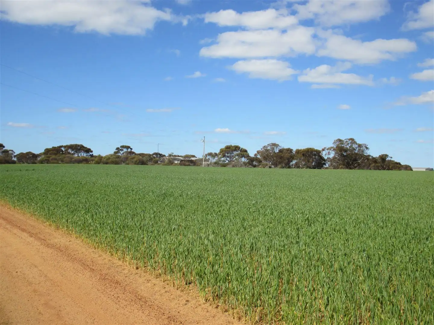 Main view of Homely rural property listing, . Goodes, Newdegate WA 6355