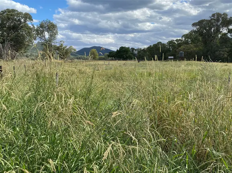 979 Kangarooby Road, Gooloogong NSW 2805