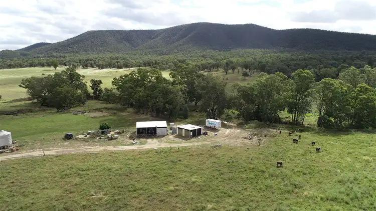 Second view of Homely rural property listing, 979 Kangarooby Road, Gooloogong NSW 2805