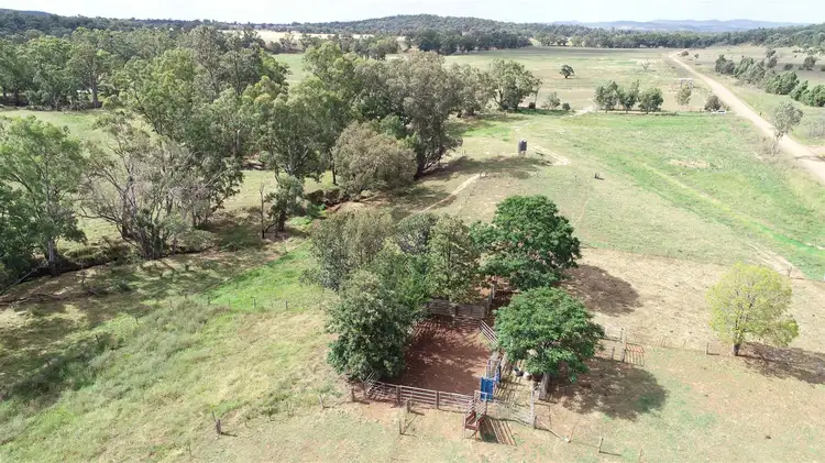 Third view of Homely rural property listing, 979 Kangarooby Road, Gooloogong NSW 2805