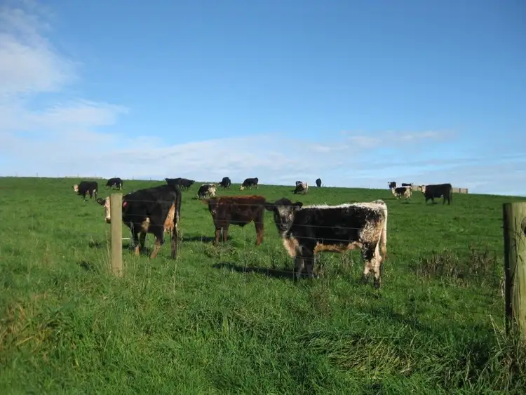 Fifth view of Homely rural property listing, 132 Upper Scotchtown Road, Scotchtown TAS 7330